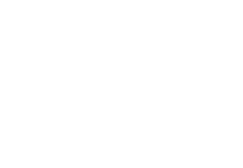 Polaris Interactive